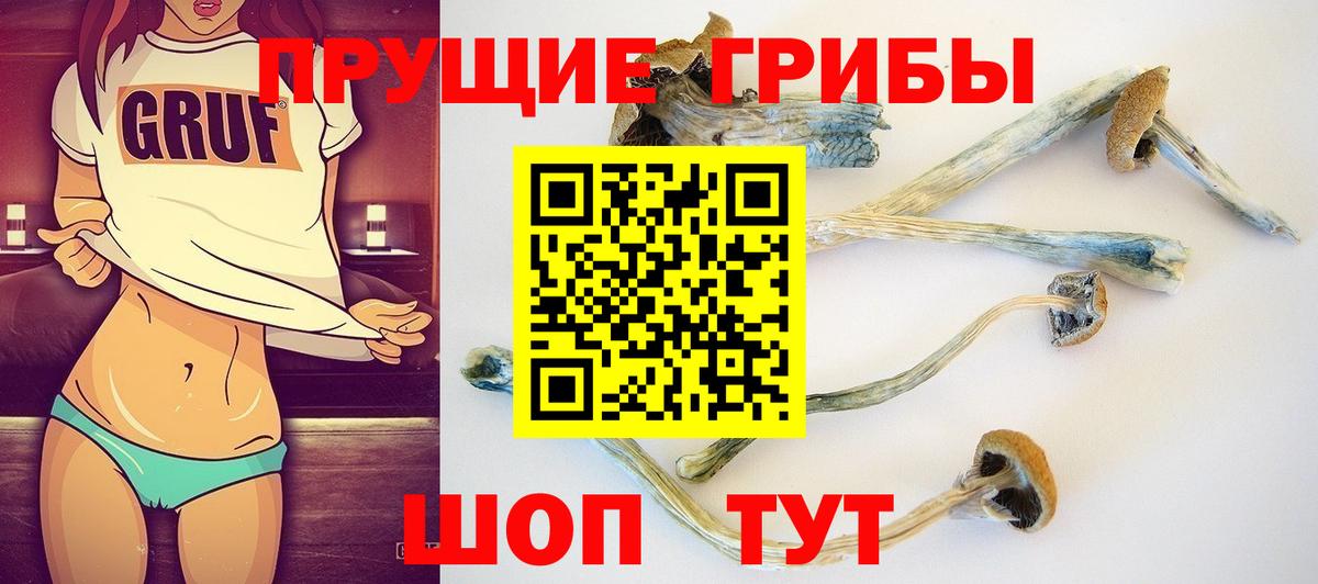 Псилоцибиновые грибы GOLDEN TEACHER Ахтубинск
